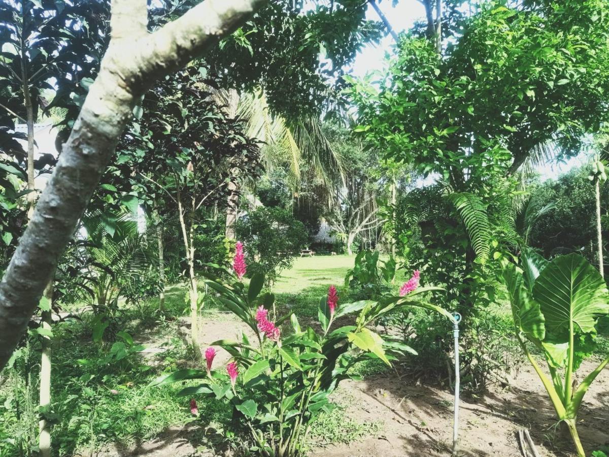 Happy Farm Tien Giang Homestay My Tho Exterior photo